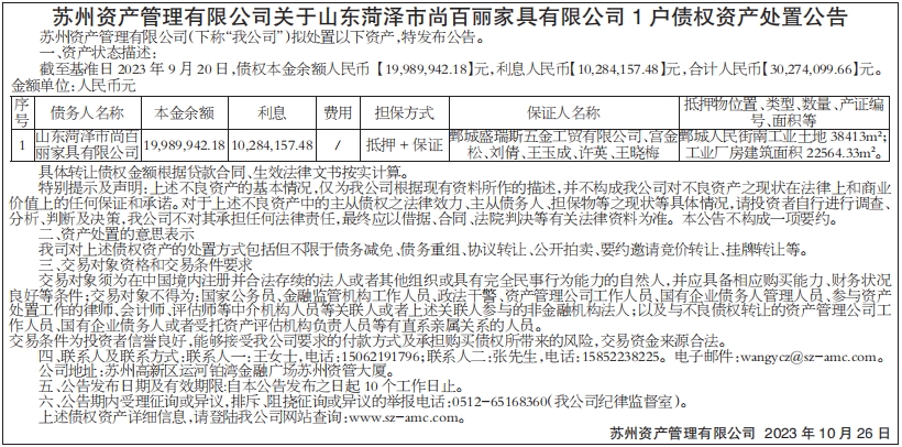 债权资产处置公告