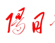 洛阳日报